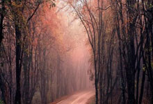 世界杯竞彩-2026世界杯梅罗对局！前提是葡萄牙阿根廷小组头名+赢2场淘汰赛