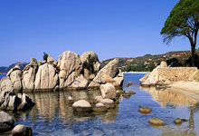 世界杯下注-本届世界杯前四种子最早半决赛相遇